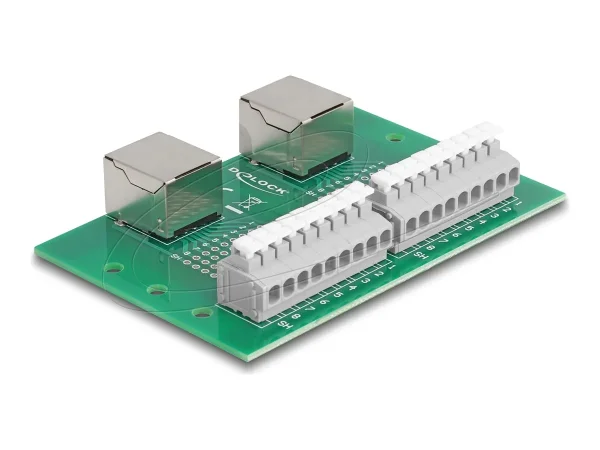 DELOCK RJ45 2x Buchse zu 2xTerminalblock