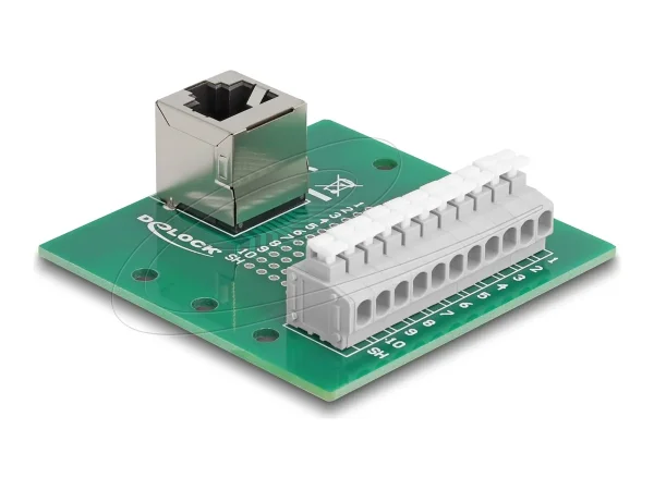 DELOCK RJ50 Buchse zu Terminalblock gew.
