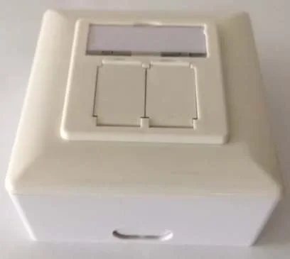 Dosen TP, AP,2-fach, CAT6, Rein/Signalweiss, waagrechter Kabeleingang, Synergy 21,