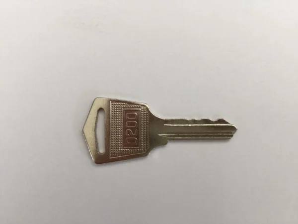 ALLNET 19" zzbh. Ersatzschlüssel für perforierte 2-teilige Blechtüre hinten für SNB-Schrankserie, 1-Stück,