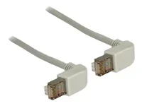 DELOCK Kabel RJ45 C5e SFTP gew/gew. 1,0m
