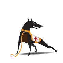 CommScope RUCKUS Associate Partner Support for unleashed 9U1-T350-WW20, 9U1-T350-WW40, 9U1-T350-WW51, 1 Yr