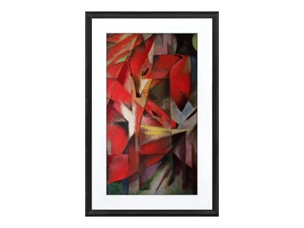 NETGEAR MEURAL 55cm 21,5Zoll schwarz