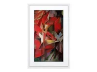 NETGEAR MEURAL 55cm 21,5Zoll weiss