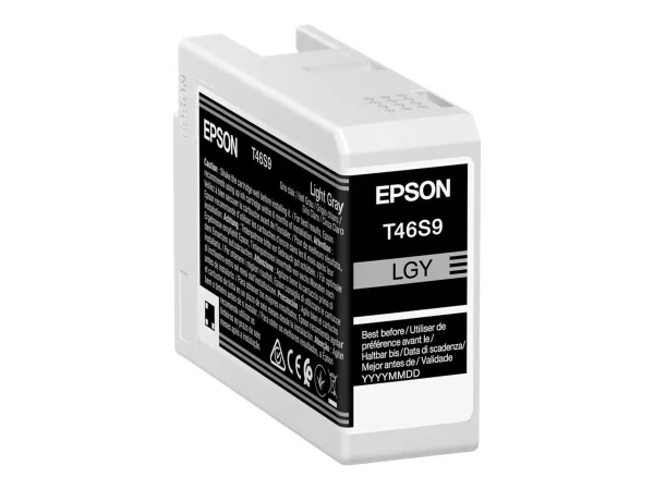 EPSON 1LB Singlepack Light Gray T46S9