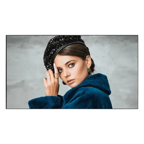 PN-55D3 55IN FHD 500CD/QM 1200:1 5MS DP HDMI DVI VGA