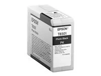 EPSON 5LB Singlepack Photo Black