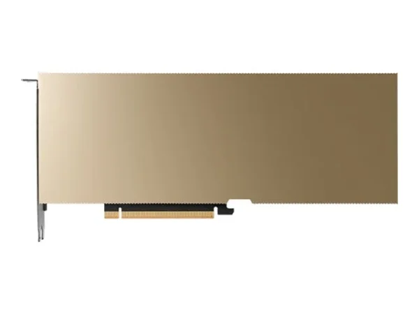 PNY NVIDIA L40S Module 48GB