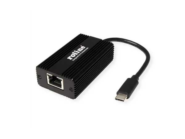 ROLINE USB 3.2 Gen 2 zu 2.5 Konverter