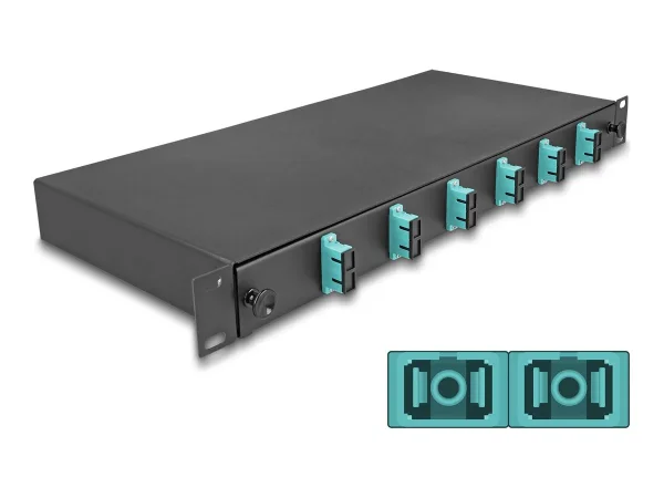 DELOCK 48,26cm LWL Spleissb 6xSC Duplex