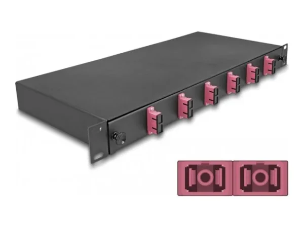 DELOCK 48,26cm LWL Spleissb 6xSC Duplex