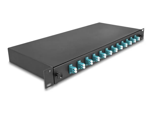 DELOCK 48,26cm LWL Spleissb 12xLC Duplex