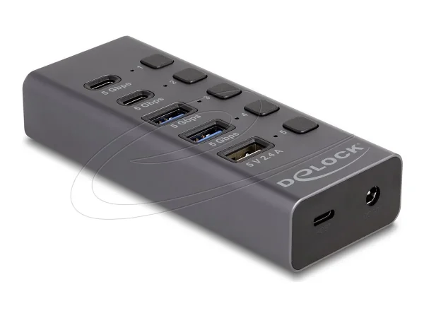 DELOCK USB 5 Gbps Hub mit 2 x USB Typ-A