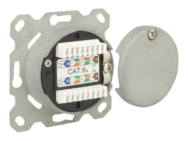 DELOCK Anschlussdose Unterputz 2 Port