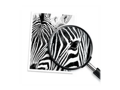 HP 924 CMYK Original Ink Cartridge 4Pack