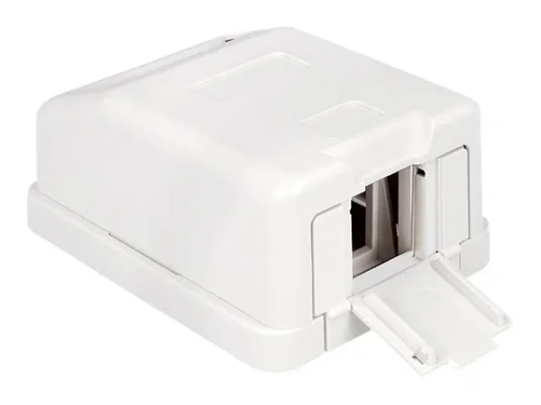 DELOCK Keystone Leergehäuse 1 Port