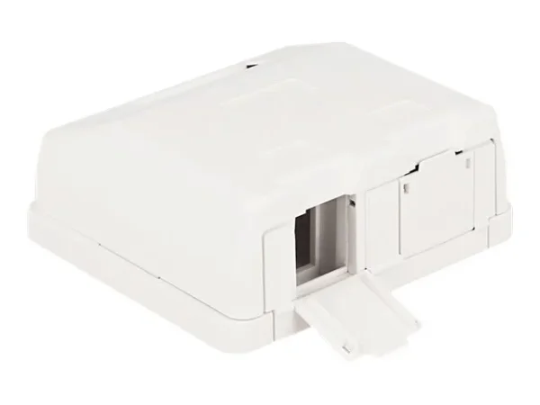 DELOCK Keystone Leergehäuse 2 Port