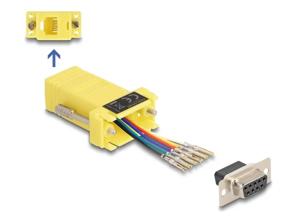 DELOCK D-Sub 9 Pin Buchse zu RJ12 Buchs