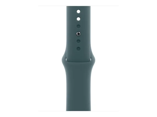 APPLE 42mm Lake Green Sport Band M/L