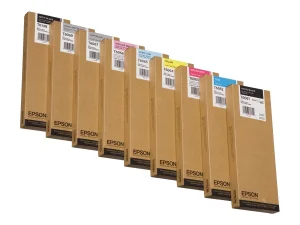 EPSON 5LB T6061 ink cartridge photo