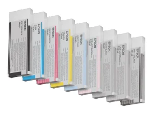 EPSON 5LB T6066 ink cartridge light mag