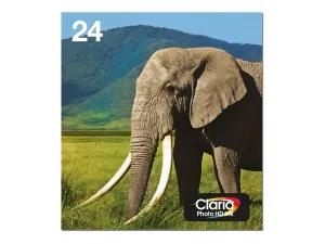 EPSON 3LB Multipack 6-colours 24