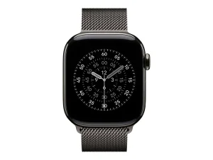 Apple Watch 42 Slate ML