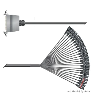 Multicorekabel Quantum, schwarz,  6,00m