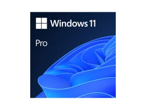Microsoft Windows 11 Pro ESD *5-0