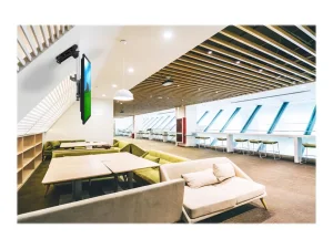 NEOMOUNTS FPMA-C020 Ceiling Mount 25-101