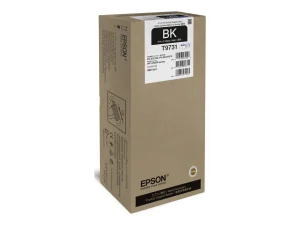 EPSON 6LB Black Ink Tank Pro T973 XL