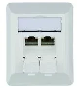 Dosen TP, AP, 2-fach, CAT6A, 500Mhz, AW, AMJ45-8/8, Telegärtn