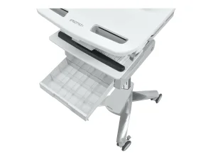 ERGOTRON StyleView® Wagen mit LCD-Arm 1