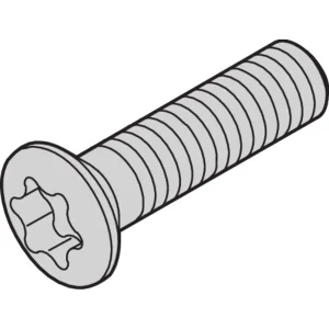 SCHROFF Linsenkopfschraube - LIKOSHR M2.5X10 PENTORX 100X
