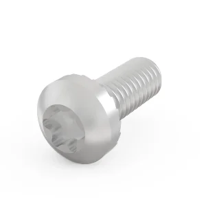 SCHROFF Torx Linsenkopfschraube - NTS MS LINSHR M4X10 100STK