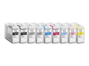 EPSON 5LB Singlepack Photo Black