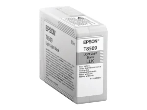 EPSON 5LB Singlepack Light Light Black