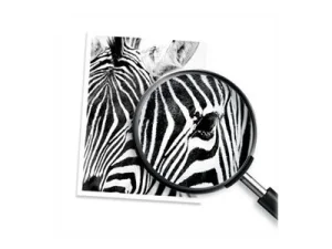 HP 62 Ink Cartridge Combo 2-Pack