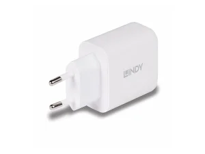 LINDY 65W USB Type C GaN Charger mit EU