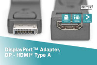 DisplayPort Adapter