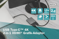 USB Type-C 4K 2in1 HDMI Grafik-Adapter