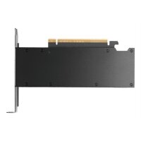 Pny 16Gb Rtx Pro 2000 Blackwell 4X Mdp Lp Smallbox  (Without Adapter)